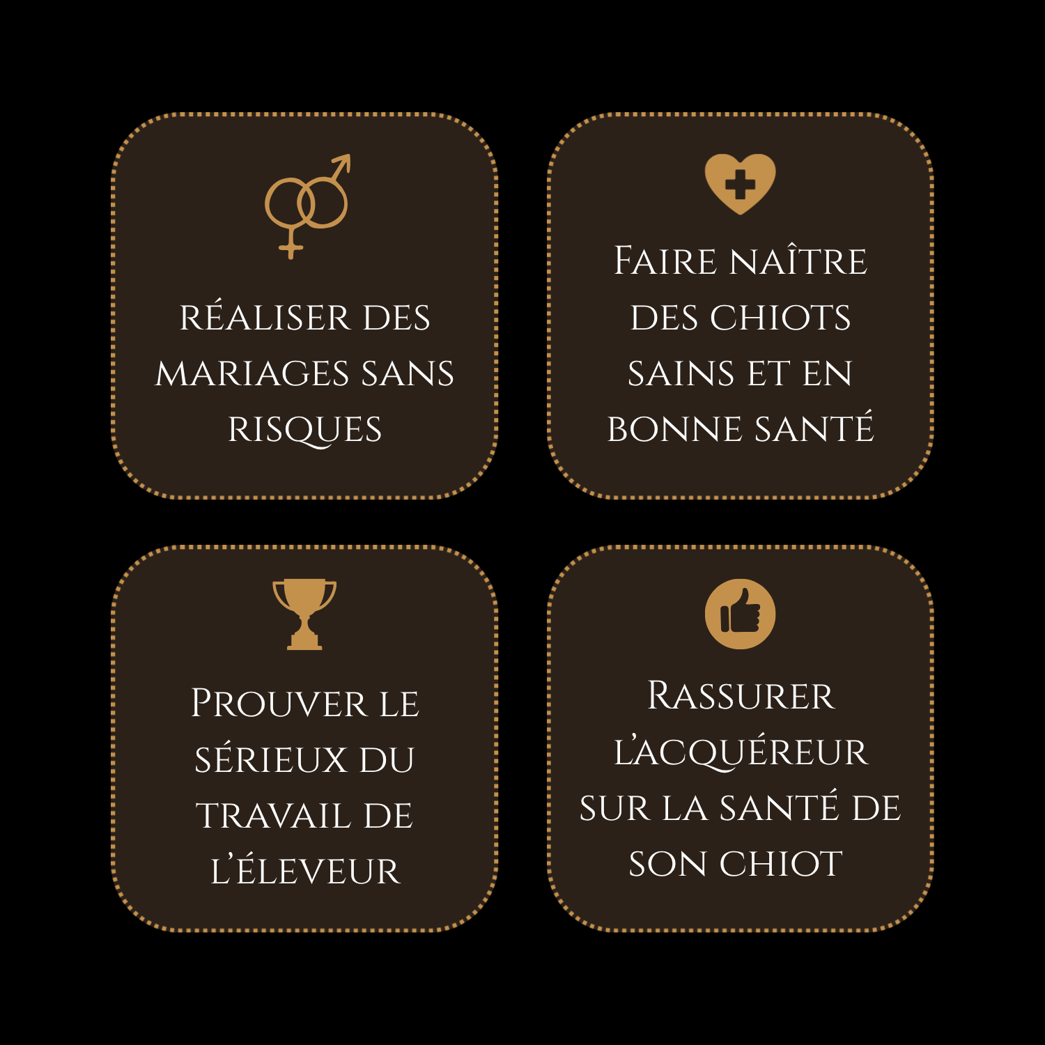 élevage sérieux teckels nains